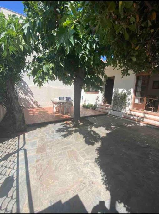 Maison Proche Plage Canet-en-Roussillon Bagian luar foto